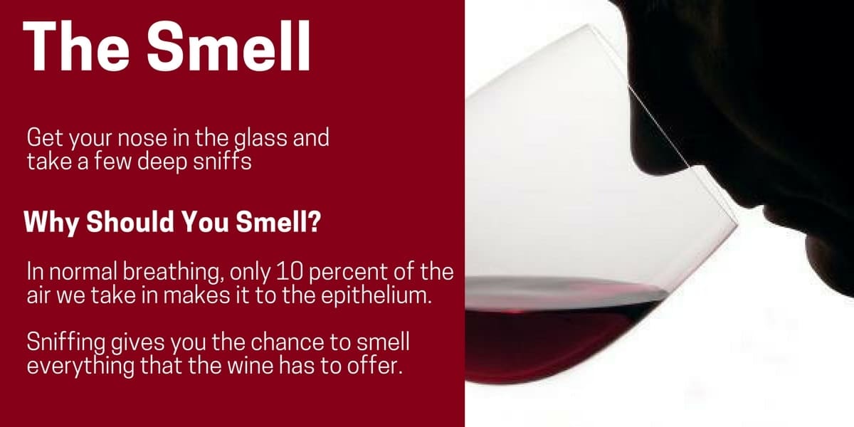 An Easy Wine Tasting Guide For Everyone Lanzerac Hotel & Spa